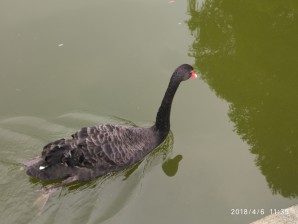 厦门