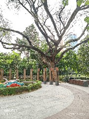 香港