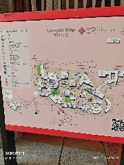 香港