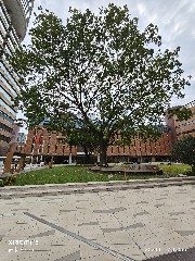 香港