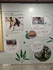 香港