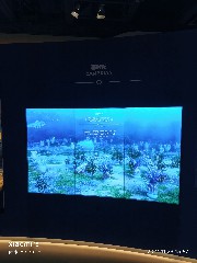 香港