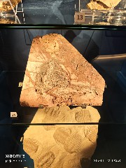 香港