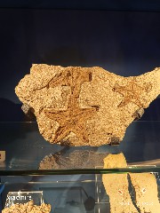香港