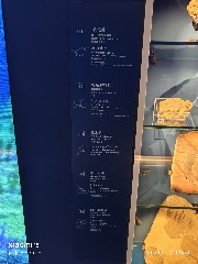 香港