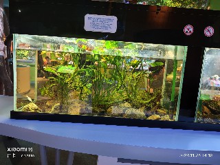 香港