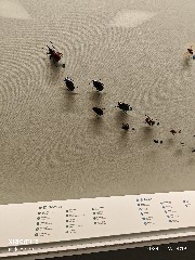 香港