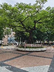 香港