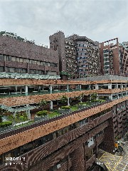 香港