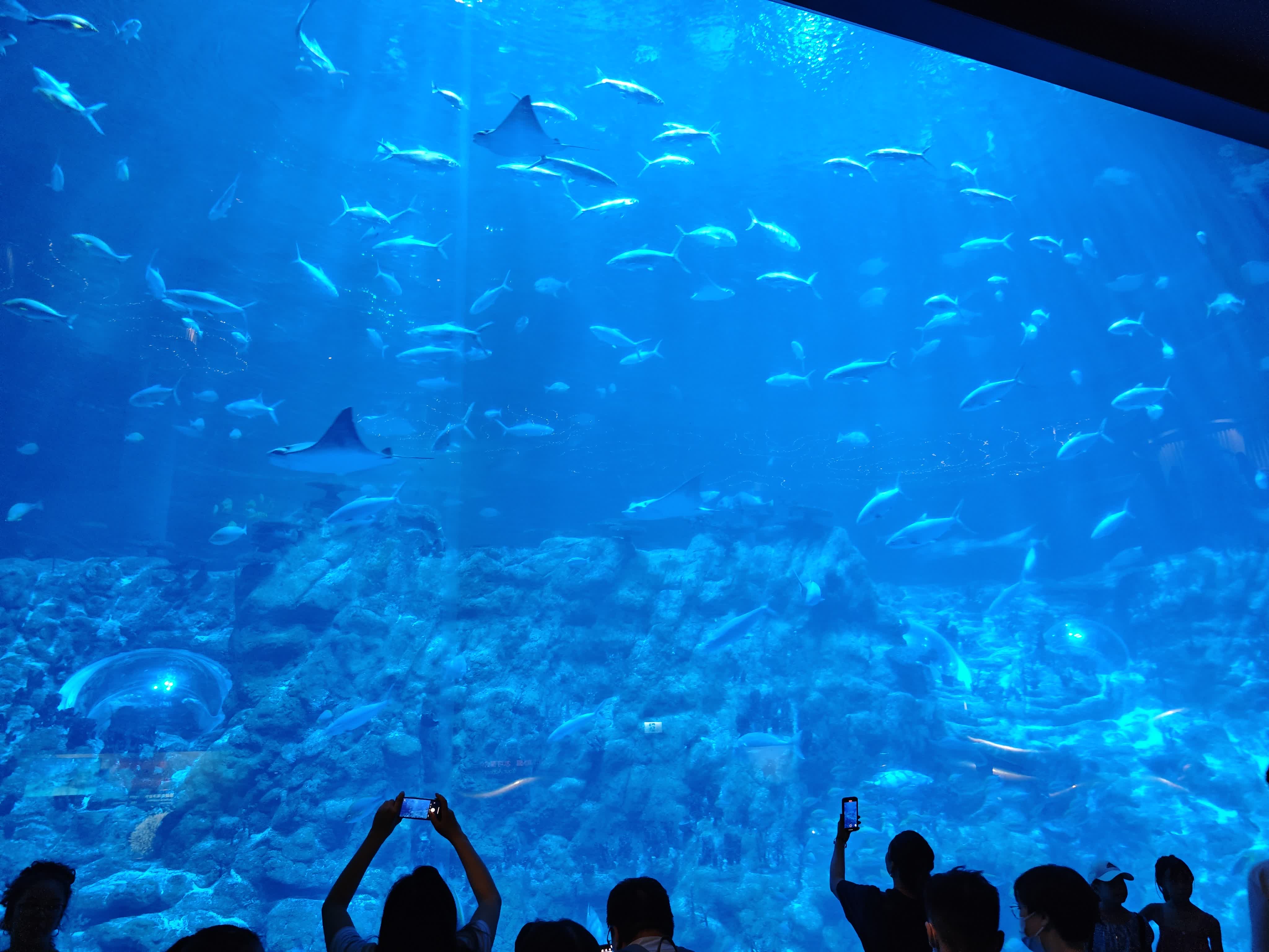 香港