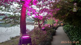 西湖