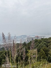 宜昌
