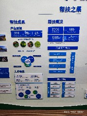 宜昌