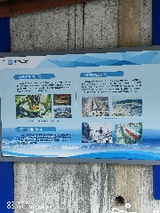 宜昌