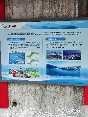 宜昌