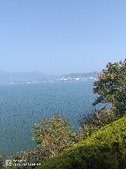 宜昌