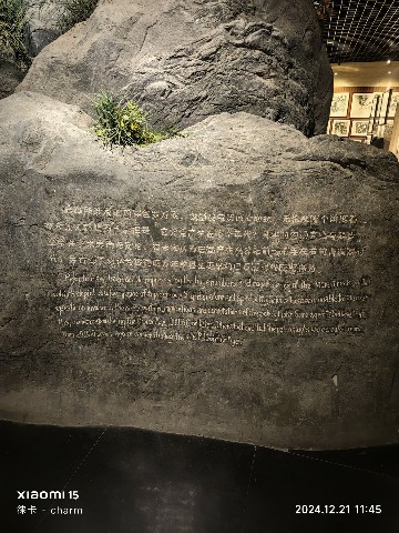 银川