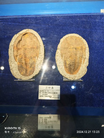 银川