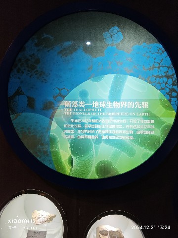 银川