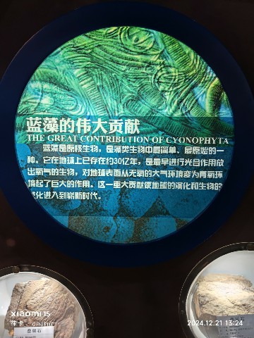银川