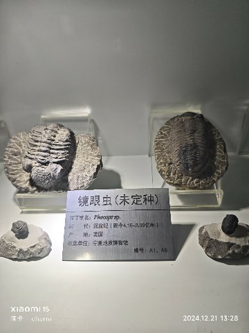 银川