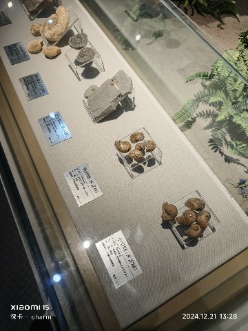 银川