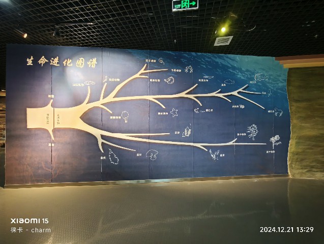 银川
