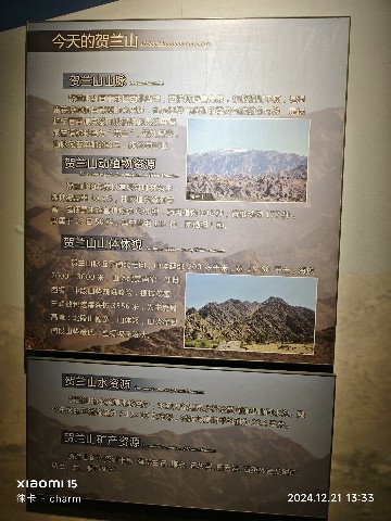 银川