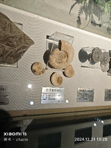 银川