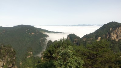 周守俭
