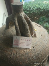 周守俭